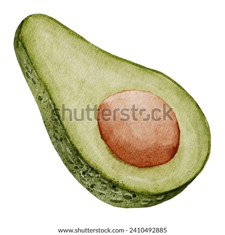 Avocado Watercolor illustration. Hand drawn clip art on isolated white background. Drawing of Half a Fruit with a seed. Vegetable botanical painting for food packaging design. Sketch of a plant.