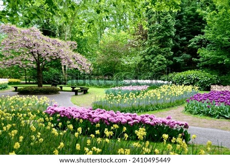 Beautifully landscaped lawns and spring flowerbeds in Keukenhof Gardens Royalty-Free Stock Photo #2410495449