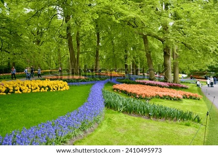 Beautifully landscaped lawns and spring flowerbeds in Keukenhof Gardens Royalty-Free Stock Photo #2410495973