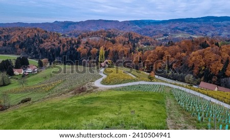 Breathtaking panorama showcasing mesmerizing landscape adorned by picturesque vineyards and enchanting Herzerlstrasse, graciously set along the border between Austria and Slovenia. Tourist wine road Royalty-Free Stock Photo #2410504941