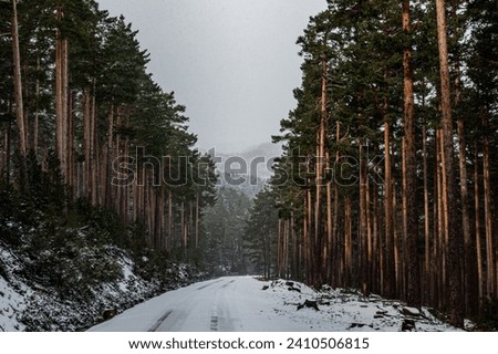 Beautiful snow landscape at Castroviejo, Duruelo de la Sierra, Soria, Spain. Nature.