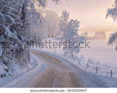 Winter In the countryside with hoarfrost in the trees