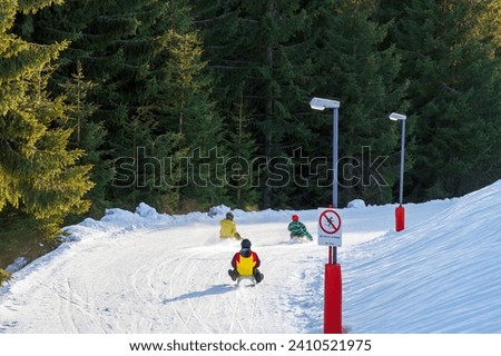 Children enjoy a thrilling sleigh ride down a snow-covered alpine hill, surrounded by tall pine trees and marked with a "No Skiing" sign, in a playful act of winter fun