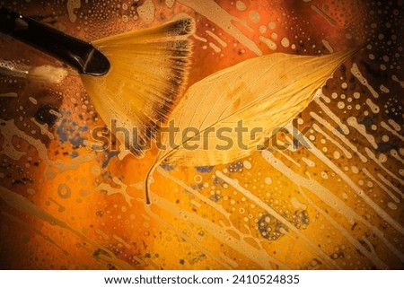 Autumn leaf on glass - drops and streaks of water on the surface. Photography overlays- clip art