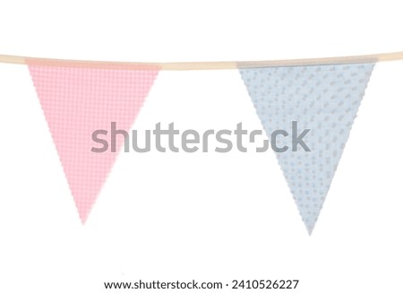 Blue and pink gender reveal party bunting isolated on a white background Royalty-Free Stock Photo #2410526227