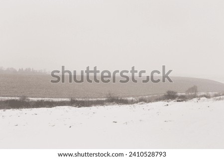 Minimalistic monochrome winter snowy landscape, nature in the countryside