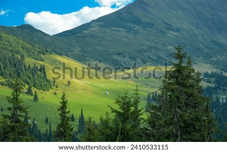 A summer sunset over the alpine grasslands of Rodna Mountains. Carpathia, Romania. Below the alpine pastures, cevergreen forests grow at the feet of the mountain peaks Royalty-Free Stock Photo #2410533115