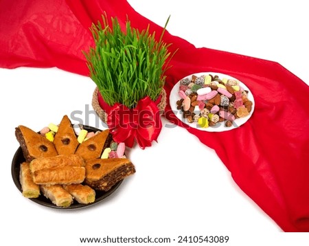 Wheat sprouts for Navruz holiday. Traditional celebration of the vernal equinox. Persian, Iranian, Azerbaijani New Year