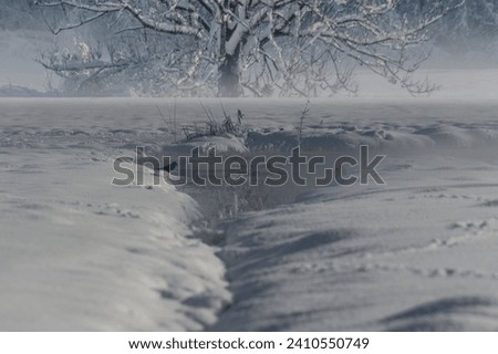 Winter landscape with birds and a frozen lake