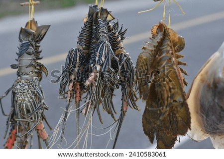 Street Market Catch,  Close up of Lobster on Display with Blurred Background, Ready for Sale.