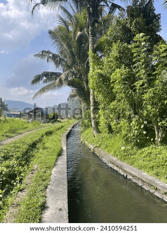 The Irrigation System in Bali is called Subak.  It’s an ancient complex water flow managed by farmers to flood, or remove water from the rice crops. Royalty-Free Stock Photo #2410594251