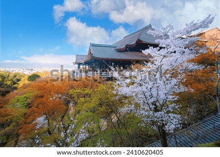 Kiyomizu-dera temple in Kyoto, Japan with beauiful full bloom sakura cherry blossom in spring Royalty-Free Stock Photo #2410620405