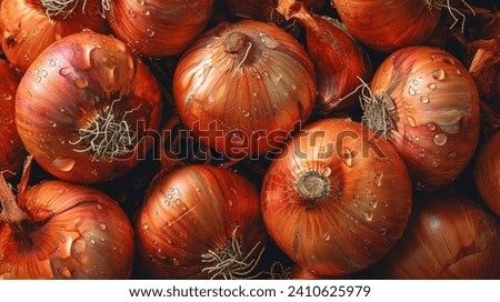 Onion with drops on black background. Full depth of field