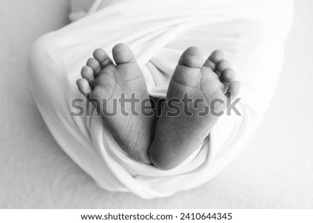 The tiny foot of a newborn baby. Soft feet of a new born in a wool blanket. 