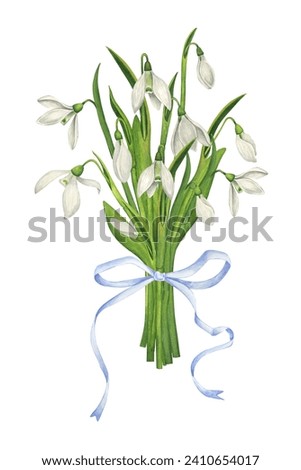 Bouquet of snowdrops with a light blue ribbon. Delicate spring watercolor illustration. Wild spring flowers. Botanical realistic illustration