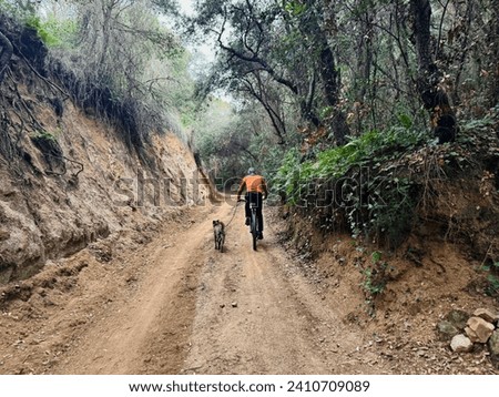Dog and person riding on a dirt road in the mountains on a bike.