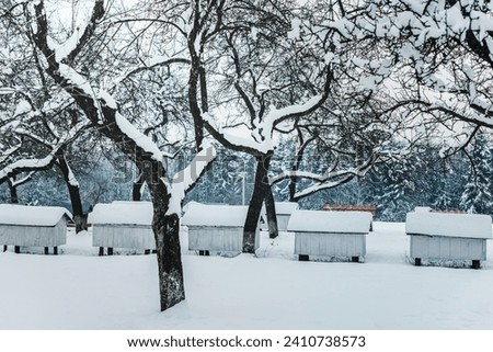 wooden beehives covered snow trees Royalty-Free Stock Photo #2410738573