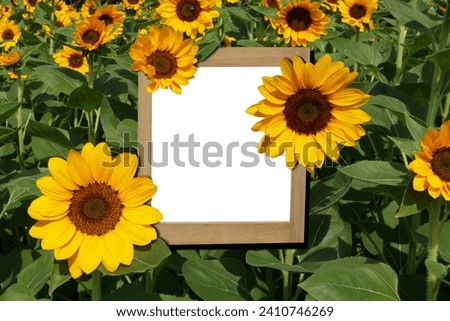 Close-up of a sunflower with a picture frame in the center and empty space in the frame.