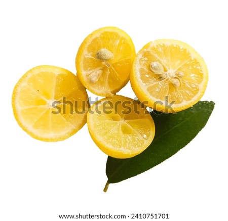 yehllow Lemon fruit green leaf branch one lemon in this summer plant of lemon eat for diet in all world in pakistan 