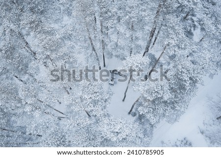 Nature of Estonia in winter. Camping place in the snowy forest, photo from a drone. High quality photo