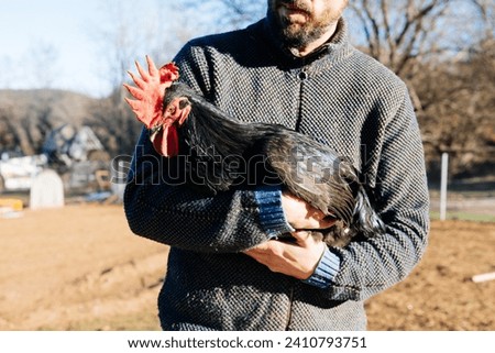 Crop anonymous bearded male farmer in warm clothes standing in countryside against autumn tree forest background while carrying black rooster on sunny day Royalty-Free Stock Photo #2410793751