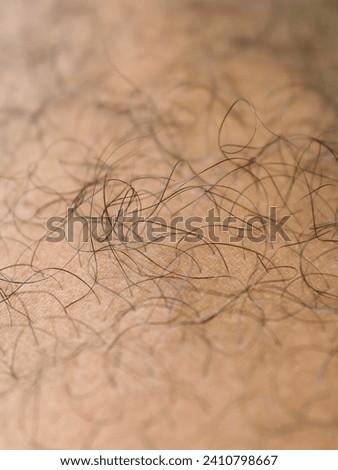 close up of hair on a man's leg. macro hair on legs