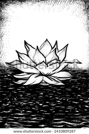 lotus flower black ink over white background