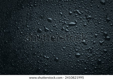 water drops on black background. Macro.