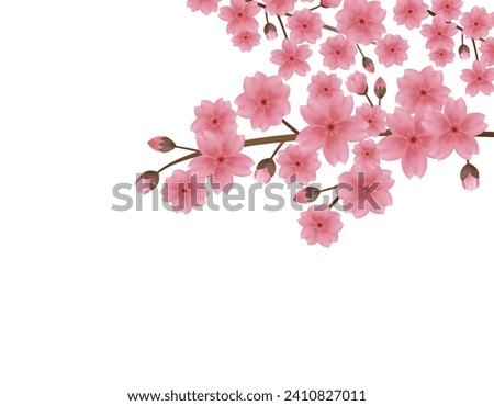 Clip art of pink cherry blossoms.　Clip art of cherry petal.