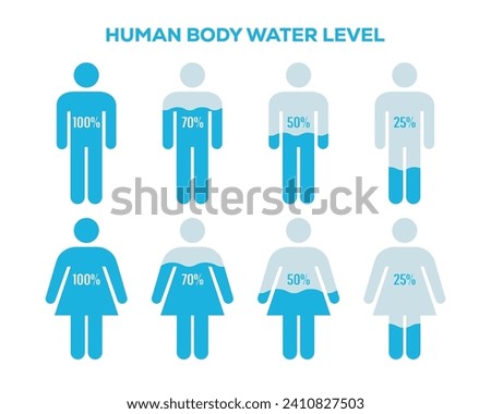 Male and Female body with water percentage illustration. Human body water level chart