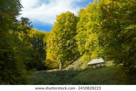 A wooden sheepfold in a beautiful pasture, surrounded by beech forests. Autumn season. The cabin is located in a glade surrounded bu autumn colored trees. Buila, Carpathia, Romania. Royalty-Free Stock Photo #2410828223