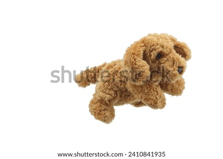 dog puppet doll plaything for kids isolated on white background. child soft toys collection. top view character puppet. Golden color dog
