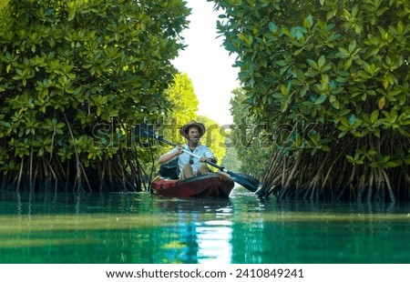 Kayak through green mangrove forest lake, Tourist guy kayaking in Kavvayi Island Kannur, Kerala backwater image, Travel and tourism concept photography Royalty-Free Stock Photo #2410849241