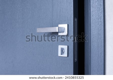 Interior doors. Door handle and lock.