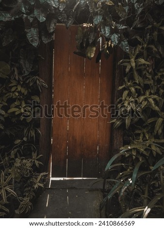 an aesthetic door like in a fairy tale