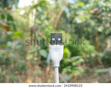 This is a USB cable.  It is a symbol of India's progress.  A green nature is seen in the background.