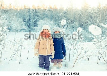 Children walk in a winter snowy forest. Frosty sunny day.