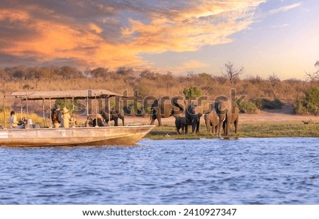 Chobe National Park, Botswana : Tourists in a boat observe elephants along the riverside of Chobe River in Chobe National Park, Botswana. Royalty-Free Stock Photo #2410927347