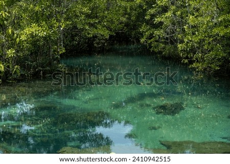 Transparent green and blue stream the tree roots and rocks under the water. Thapom Klong Song Nam in Krabi, Thailand Royalty-Free Stock Photo #2410942515