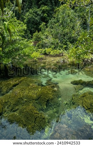 Transparent green and blue stream the tree roots and rocks under the water. Thapom Klong Song Nam in Krabi, Thailand Royalty-Free Stock Photo #2410942533