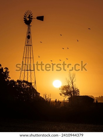 water mill in the countryside at sunset with birds flying