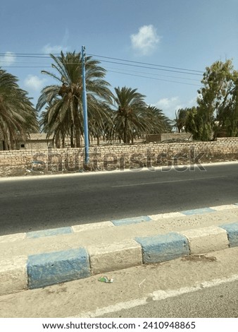 Road with Palms at the Side