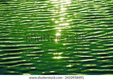Abstract dark green color wave, pure natural swirl pattern texture, background photo.