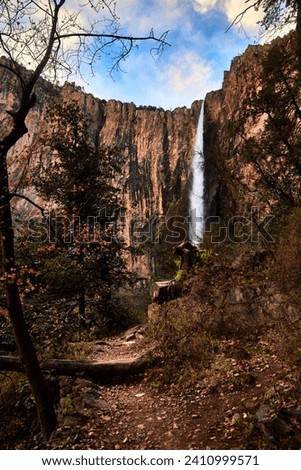 Basaseachi waterfall in the Sierra Tarahumara in Chihuahua