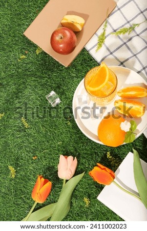 A dish of orange slices and cup of juice, notebooks and flowers displayed on checkered fabric on green grass background. Copy space for add text. Happy picnic day