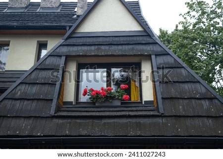Window with red flowers on a roof of an ancient building in the village of Zakopane, Poland. Roof tiles on the background. High quality photo