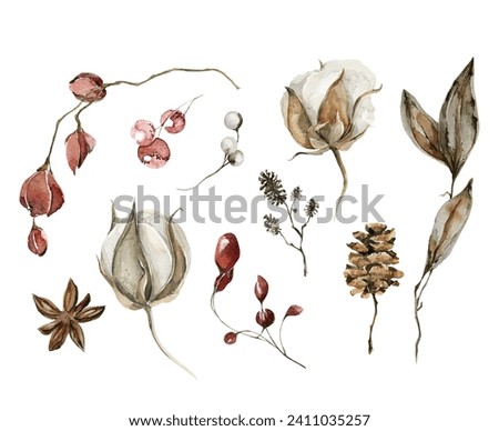 Watercolor floral beige set. Hand painted tree branches, berries, cotton flowers, forest leaves, cones isolated on white background. Floral brown botanical clip art for design or print