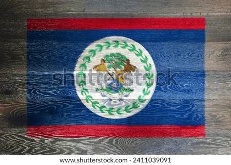 Belize flag on rustic old wood surface background