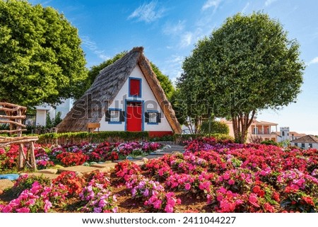 Traditional Houses on Madeira during a Sunny Day, Portugal     Royalty-Free Stock Photo #2411044227