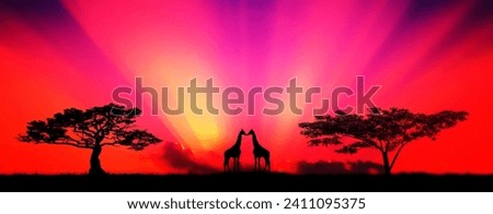 Safari.Panorama silhouette Giraffe family and tree in africa with sunset.Tree silhouetted against a setting sun.